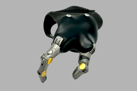 Anatomical Rotation and Flexion